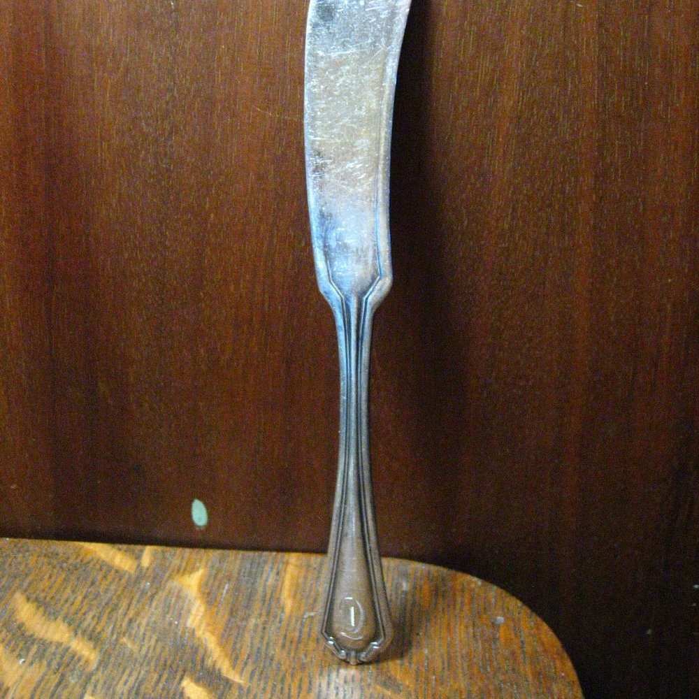 🍴 William Rogers Puritan "D" Butter Spreader